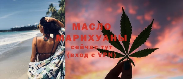 mix Богородицк