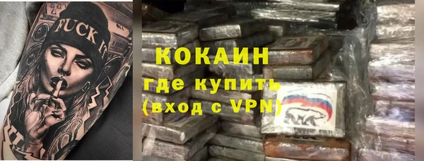mix Богородицк